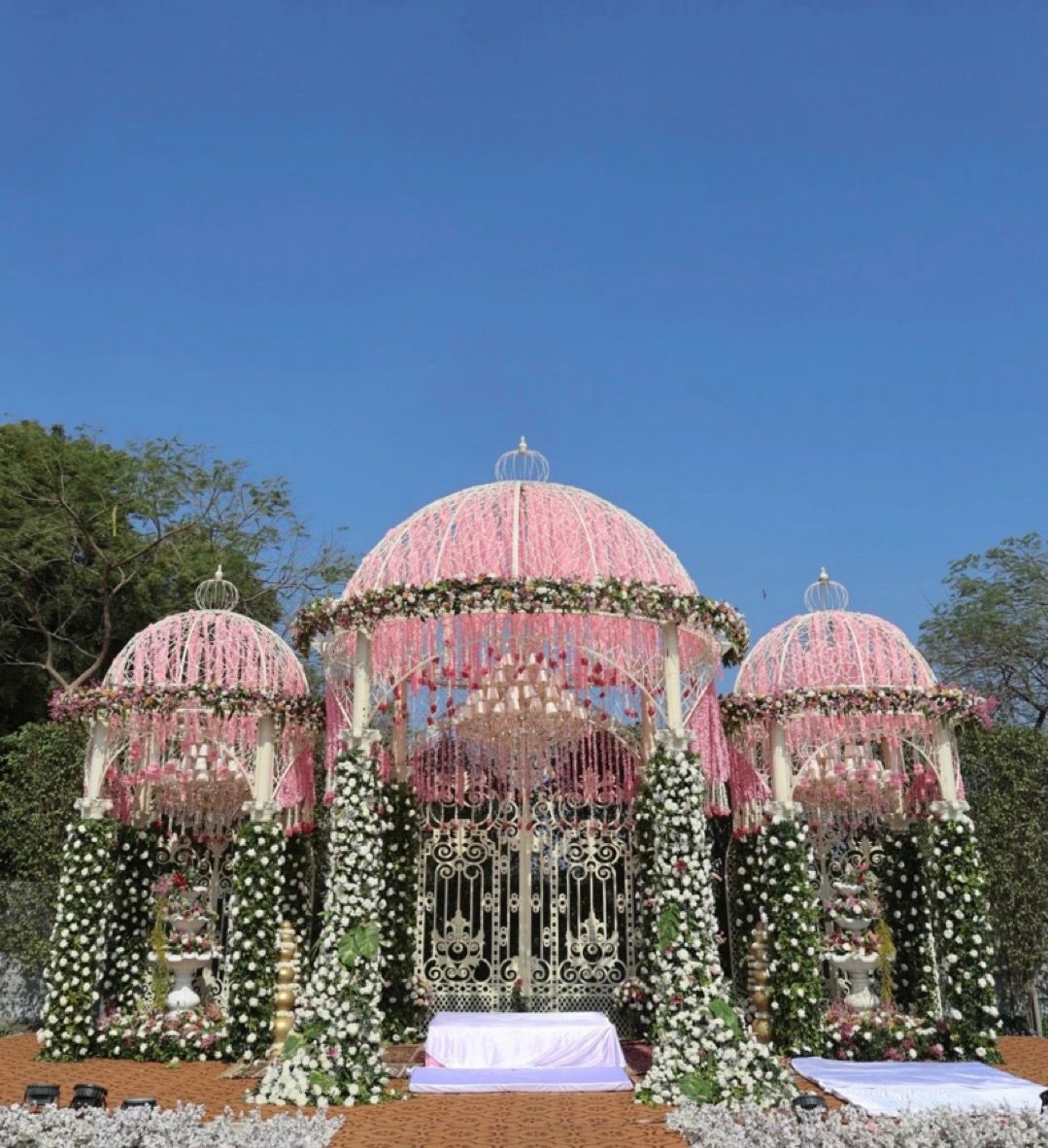 Weddings & Family